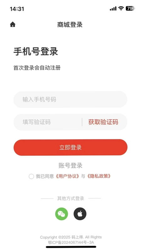 码上得运行截图