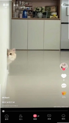 她圈运行截图