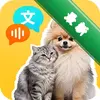 è�����Է��� CatDog Translatorͼ��