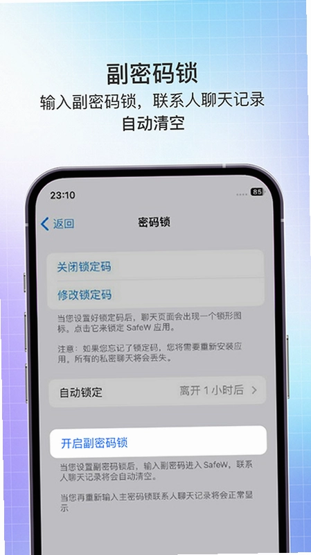 Safex运行截图