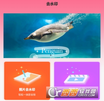 ͼƬ��Ƶ��ˮӡȥˮӡ(ȥˮӡ��)