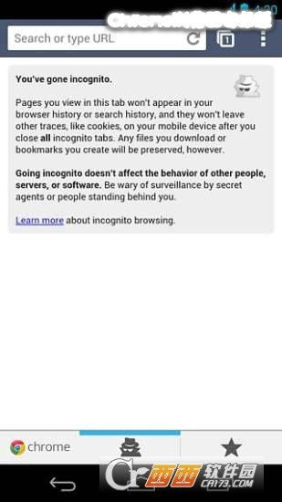 Chrome浏览器安卓版运行截图