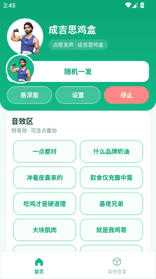成吉思鸡盒运行截图
