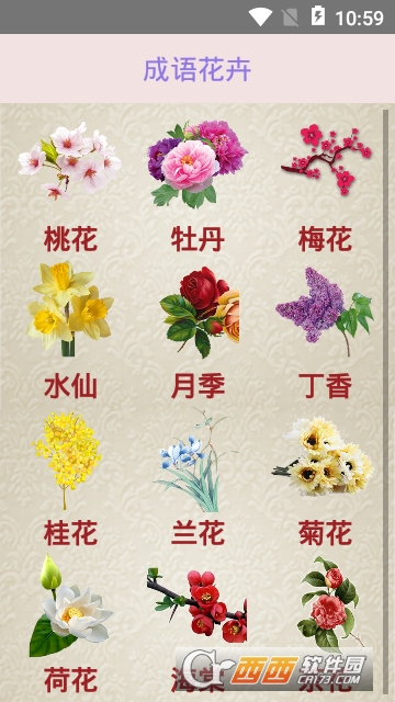 成语花卉 成语花卉