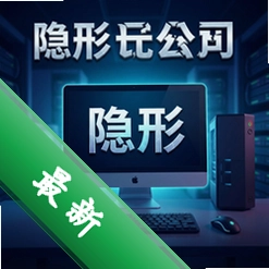 隐形公司pc版v1.0.0