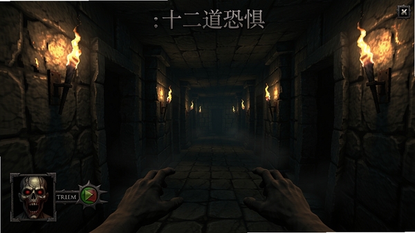 提示词:幽暗迷宫4:十二道恐惧,第一人称视角,昏暗迷宫走廊,诡异灯光,恐怖氛围,游戏主界面,整体全貌