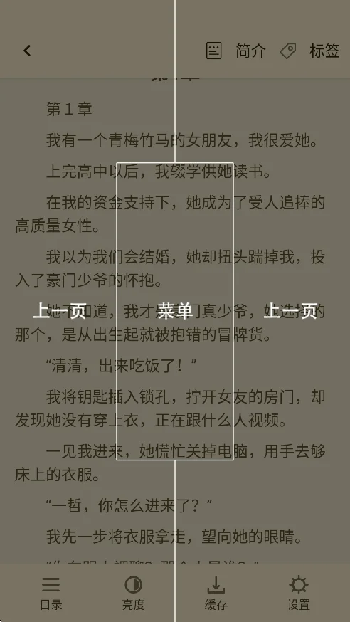 轻文阁小说app官方最新版运行截图