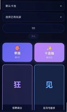 自定义抽卡模拟器运行截图