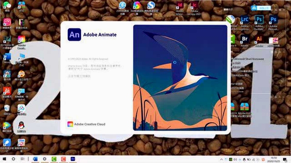 Adobe Animate 2021简体中文版 pc版运行截图