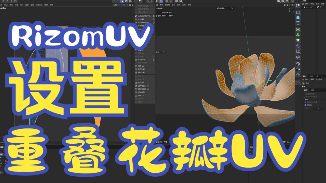 RizomUV 2024����ƽ�� ���Ĺ���