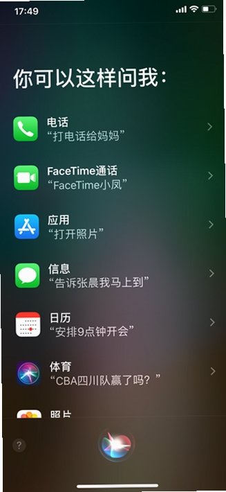 鸽哥语音盒运行截图
