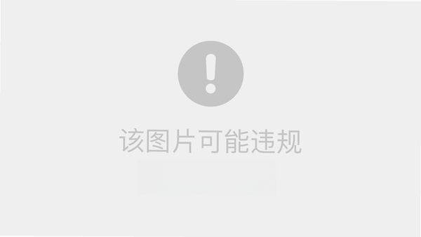 ArcGIS Pro 3.5.4中文解锁版 pc版运行截图