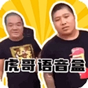 虎哥语音盒运行截图