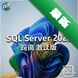 SQL Server 2025中文激活版 pc版2025 数据库管理工具