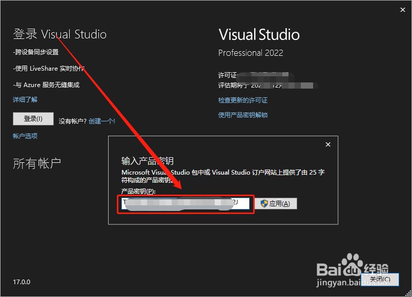 Visual Studio 2022רҵ�漤��� ʹ�ü��� ע��