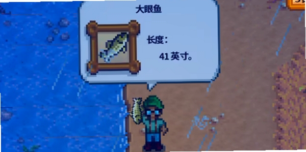 大眼鱼 最新版本 更新日志