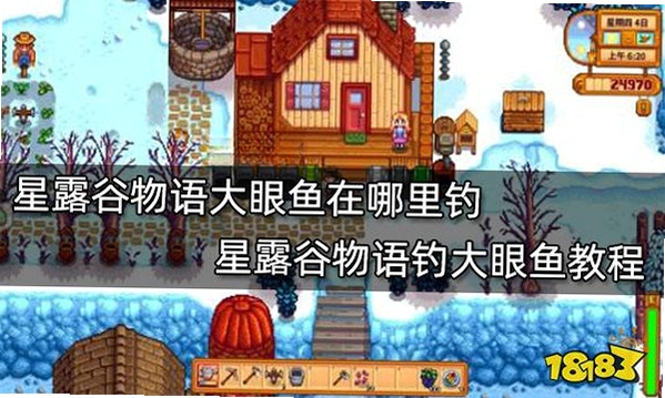 大眼鱼 安装教程 解压即用