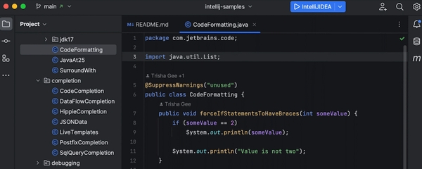 IntelliJ IDEA 2022中文破解版 pc版运行截图
