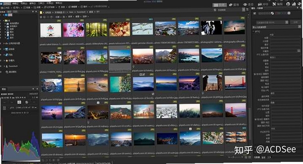 ACDSee 2023旗舰版免费版 pc版运行截图