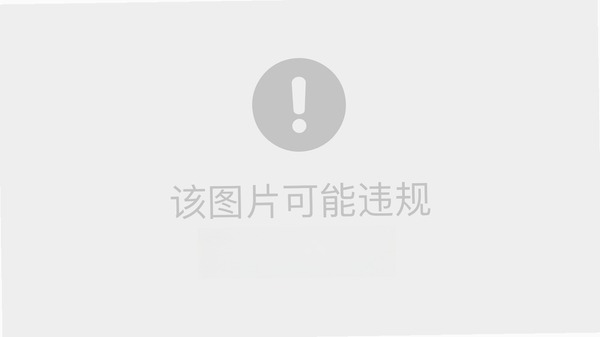 违章费用记录运行截图