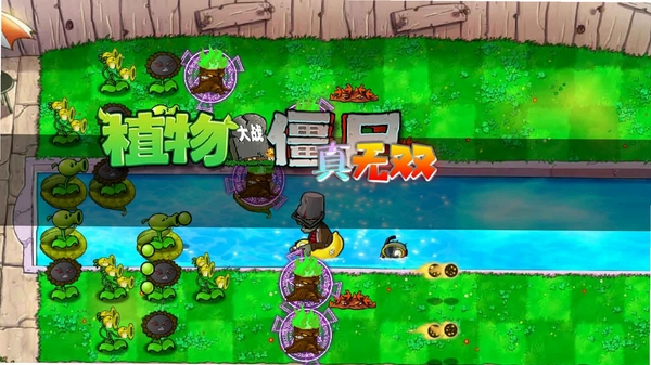 植物大战僵尸杂交版PC版运行截图