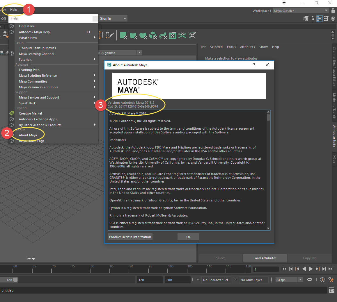 Autodesk Maya 2020 �ƽ�� �������� �����޸�