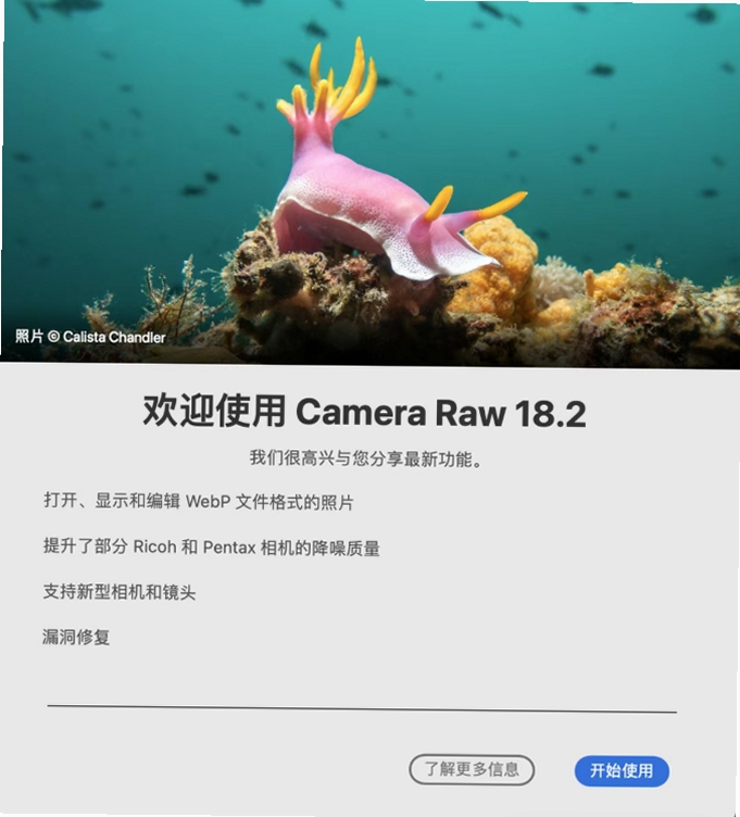 Adobe Camera Raw 18中文版 pc版运行截图