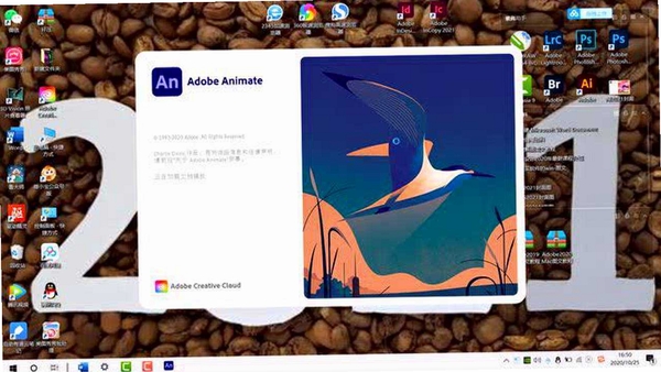 Adobe Animate 2024中文激活版运行截图