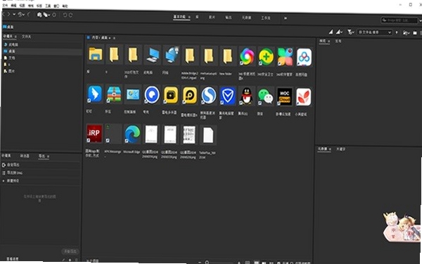 Adobe Bridge 2025已激活中文版 pc版运行截图