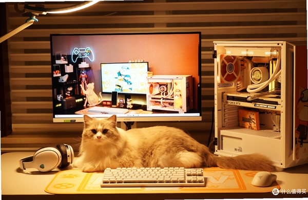 修钟猫 电脑配置 要求
