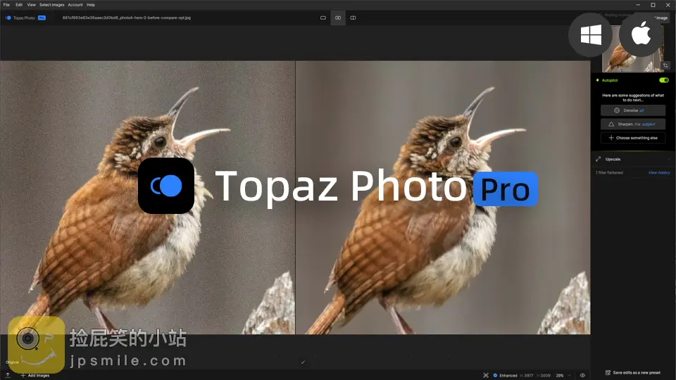 Topaz Photo Pro AI图片处理工具 核心功能