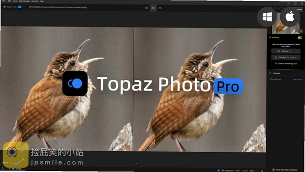 Topaz Photo ProAI图片处理工具 pc版运行截图