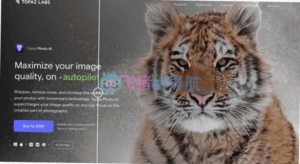 Topaz Photo ProAI图片处理工具 pc版运行截图