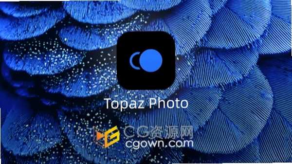Topaz Photo ProAI图片处理工具 pc版运行截图