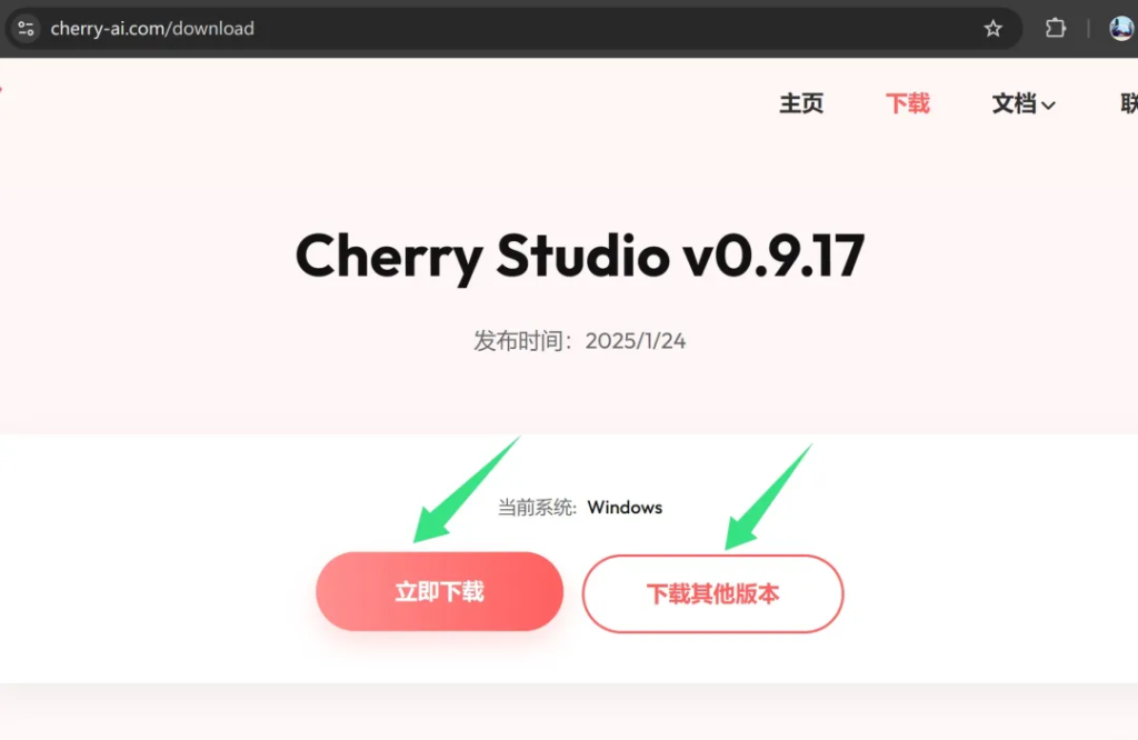 Cherry Studio 启动报错 修复 Win11