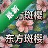 ������ӣ pc��ͼ��