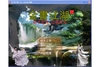 ���齭��pc��ͼ��