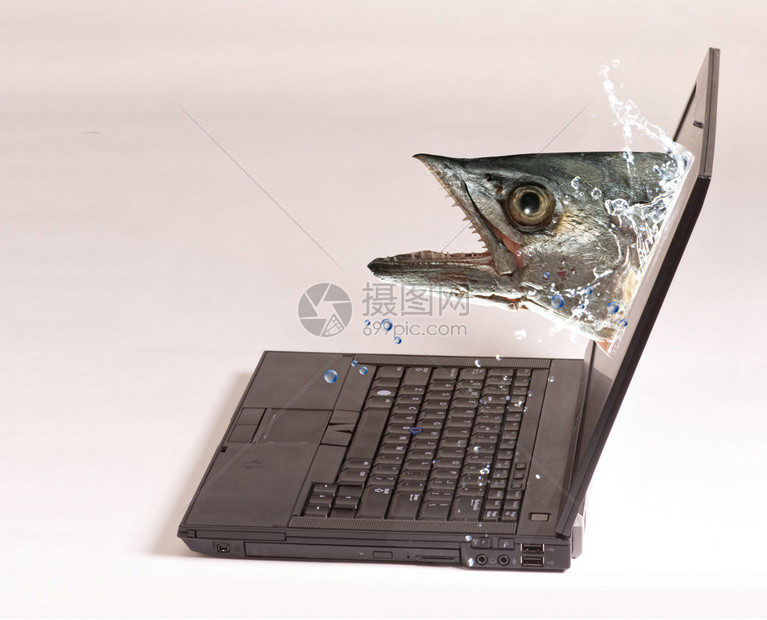 怪物鱼pc版运行截图