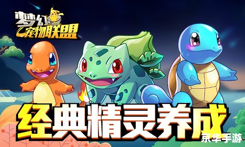 口袋妖怪:奇幻之旅pc版运行截图