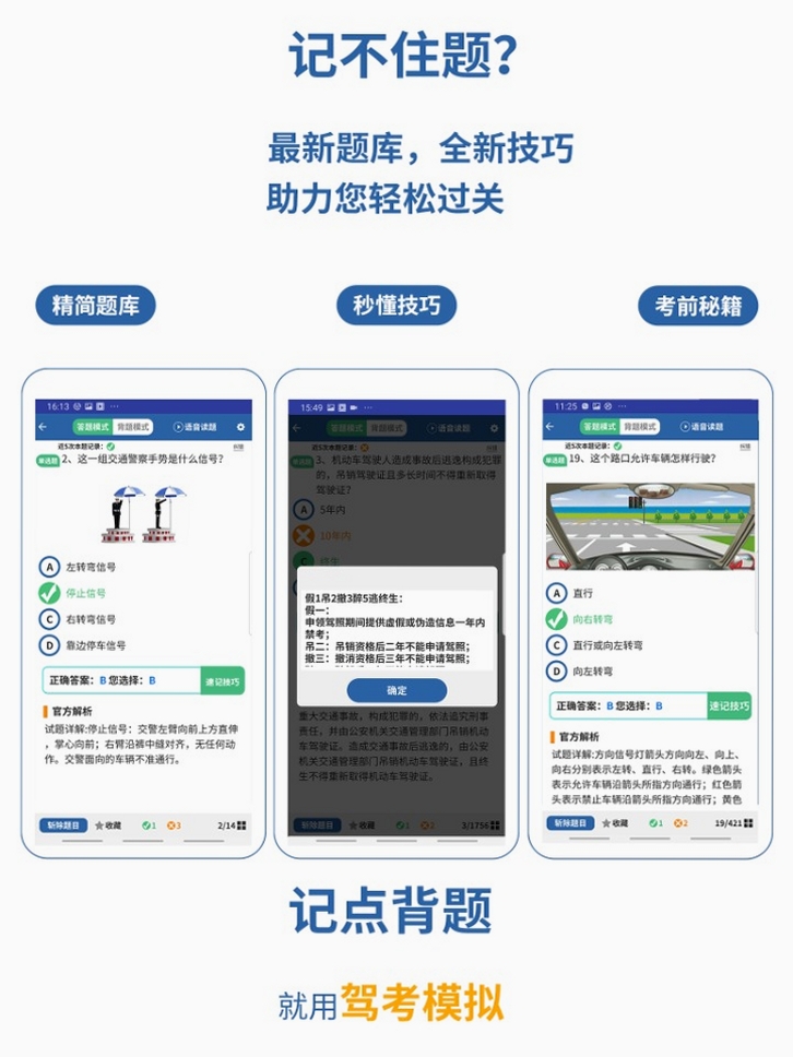 驾考模拟:老司机之路运行截图