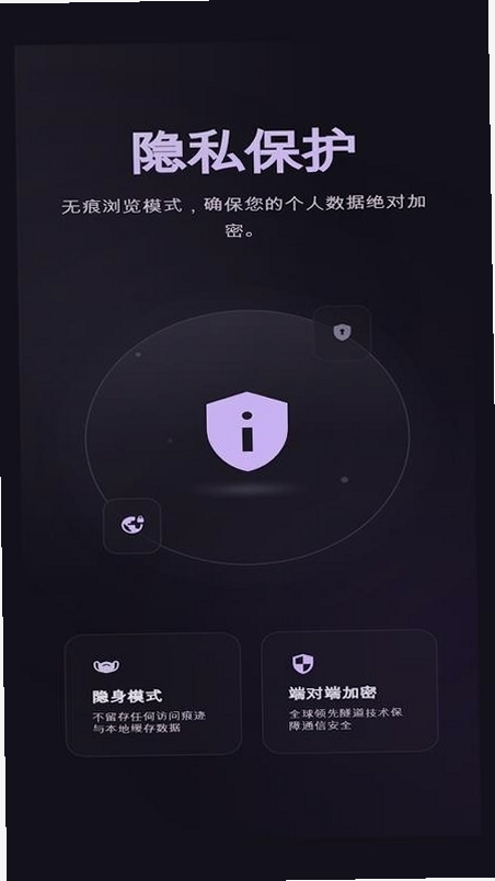 小果速传浏览器运行截图