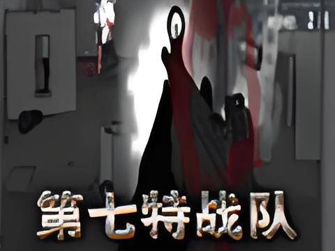 第七特战队 pc版 v1.0