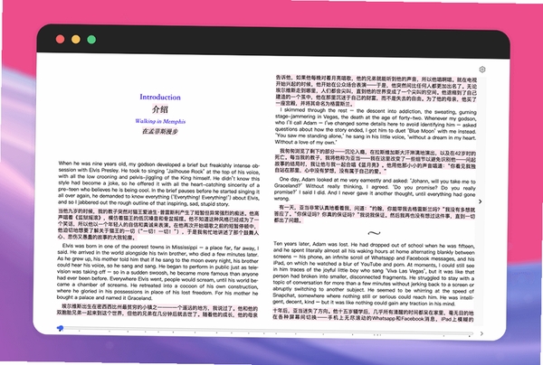 沉浸式翻译Immersive Translate运行截图