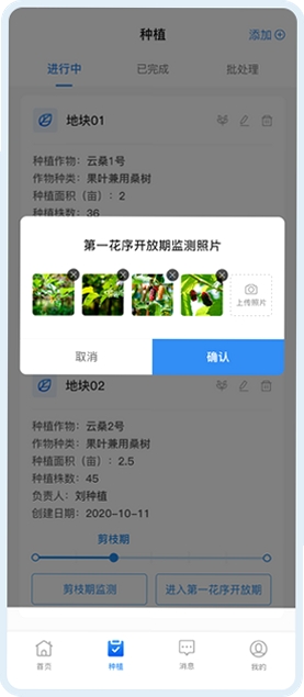 ���������н�ͼ