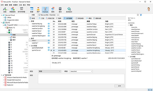 Navicat for Redis 17.3.11中文正式版运行截图