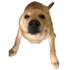 �󹷽�ģ����ͼ��