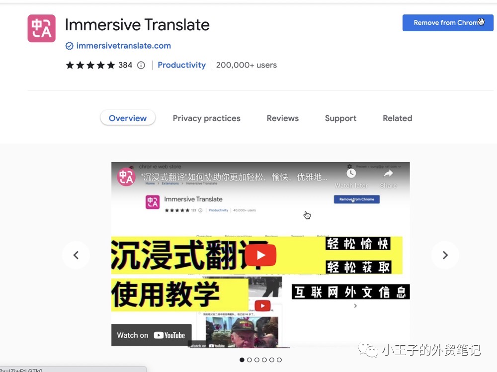 沉浸式翻译Immersive Translate 插件界面双语对照效果配图