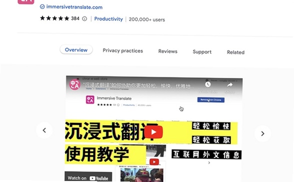 ����ʽ����ImmersiveTranslate���