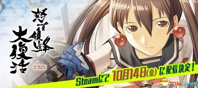 怒首领蜂 pc版运行截图