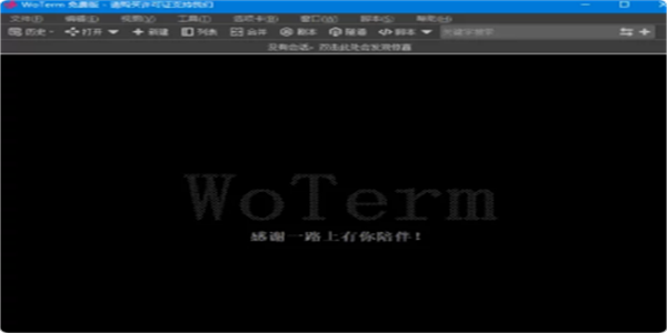 Woterm运行截图